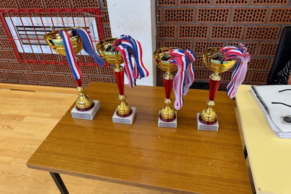 U11-5