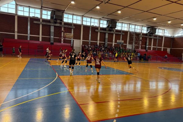 U11-8